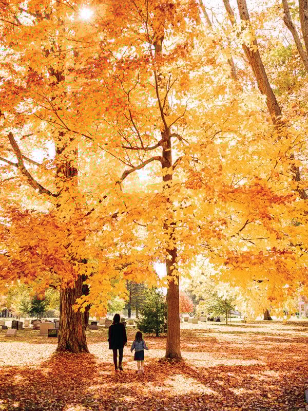 2510_Fall1_popup